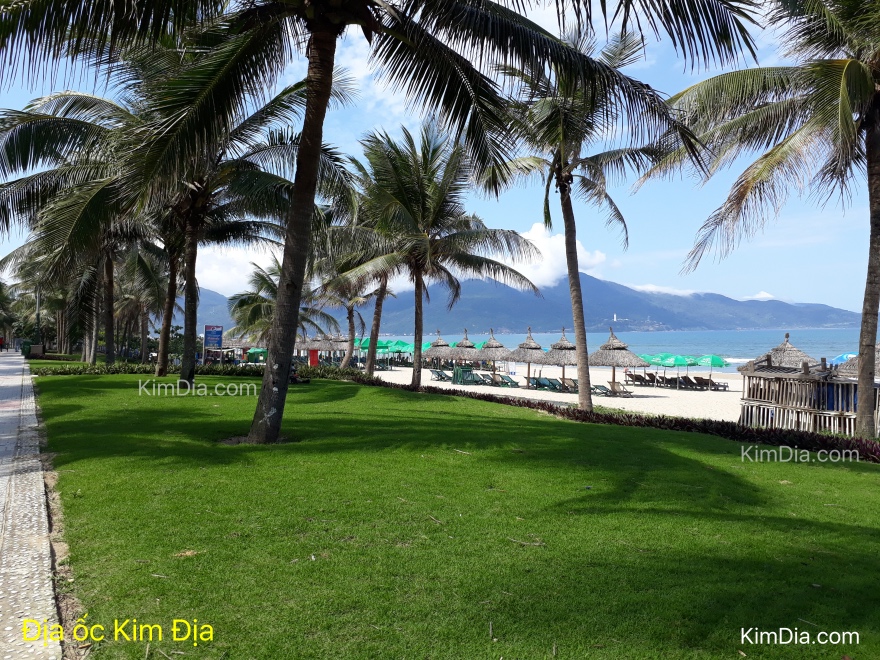bien-my-khue-da-nang.jpg
